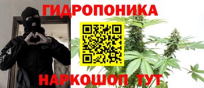каннабис Гай